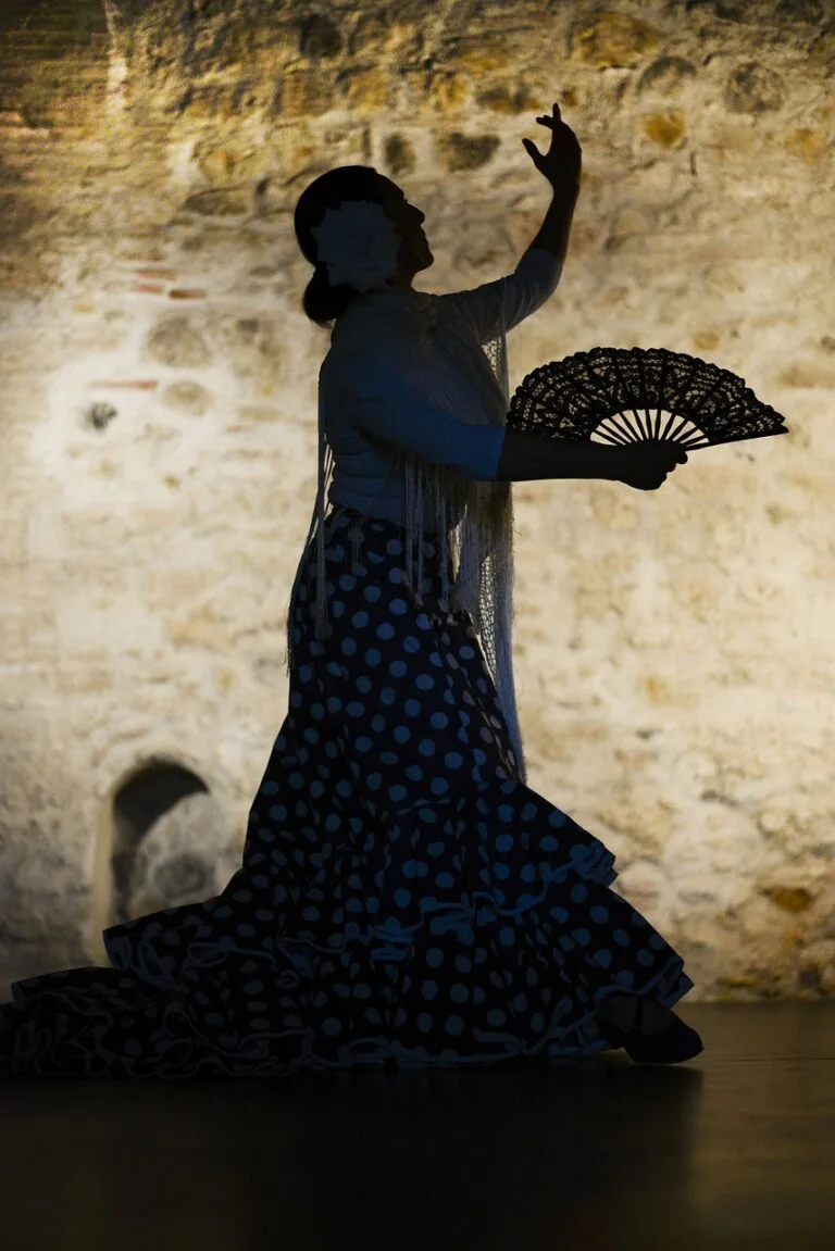 Flamenco dancer silhouette against a warm textured wall